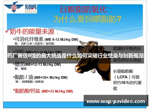 药厂晋级8强的最大挑战是什么如何突破行业壁垒与创新瓶颈 药厂晋级8强的最大挑战是什么如何突破行业壁垒与创新瓶颈