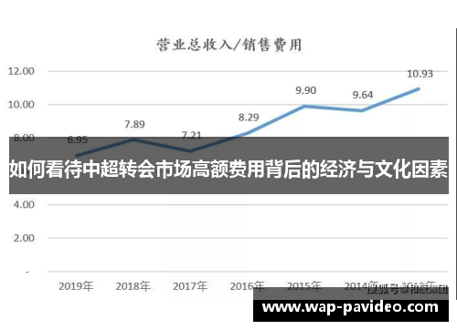 如何看待中超转会市场高额费用背后的经济与文化因素 如何看待中超转会市场高额费用背后的经济与文化因素