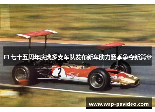 F1七十五周年庆典多支车队发布新车助力赛季争夺新篇章 F1七十五周年庆典多支车队发布新车助力赛季争夺新篇章