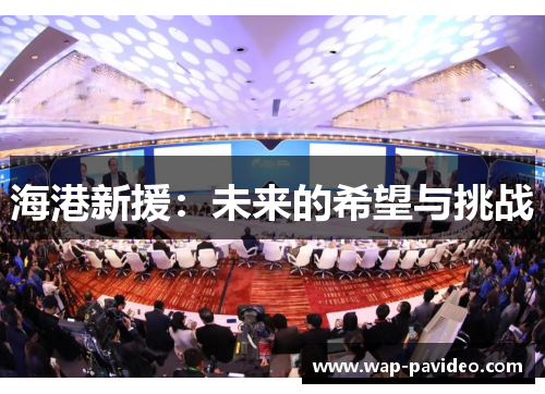 海港新援:未来的希望与挑战 海港新援:未来的希望与挑战