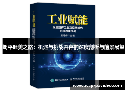 朗平赴美之路:机遇与挑战并存的深度剖析与前景展望 朗平赴美之路:机遇与挑战并存的深度剖析与前景展望