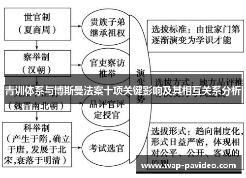 青训体系与博斯曼法案十项关键影响及其相互关系分析