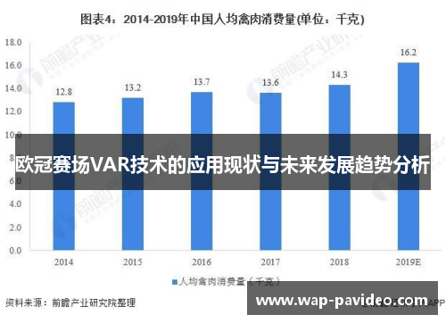 欧冠赛场VAR技术的应用现状与未来发展趋势分析