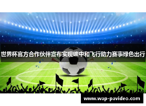 世界杯官方合作伙伴宣布实现碳中和飞行助力赛事绿色出行